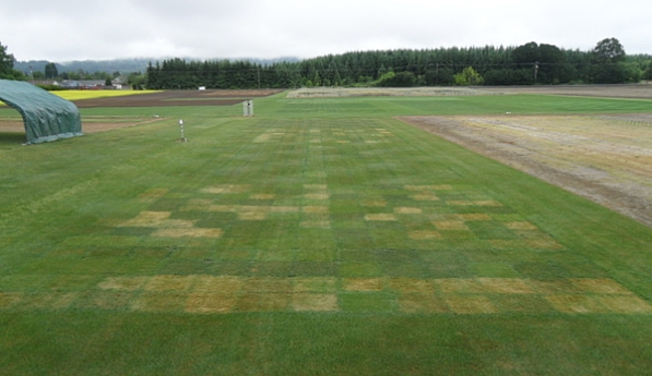 Differences in drought tolerance